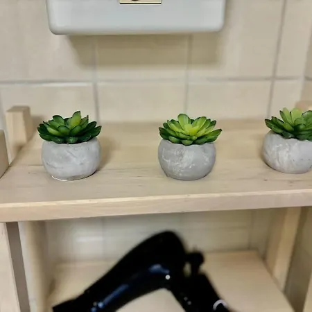 Apartamento Auszeit Am Rhein 2 - Rhinelove Boppard